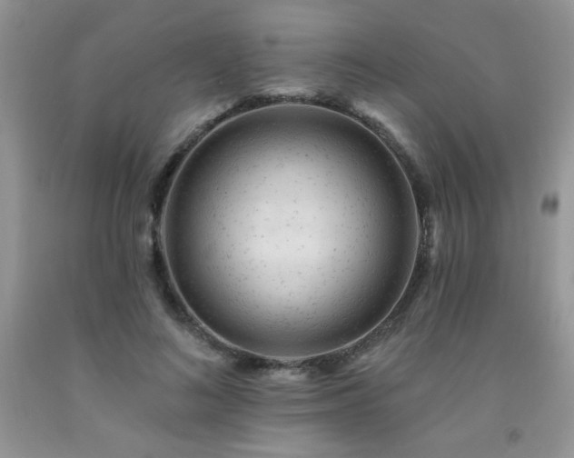 X0000092300692200709141320