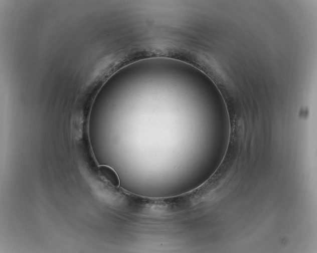 X0000092300694200709141320