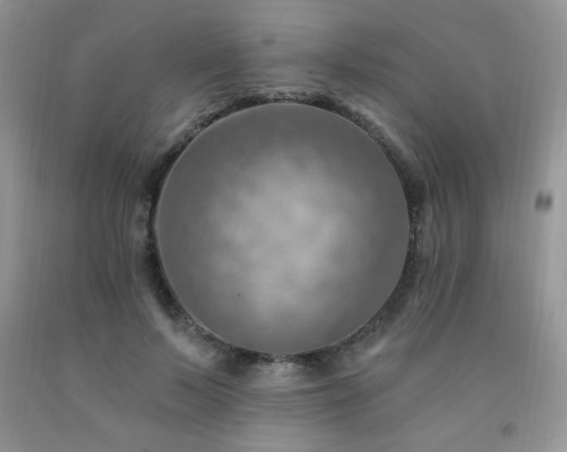 X0000092300695200709141320