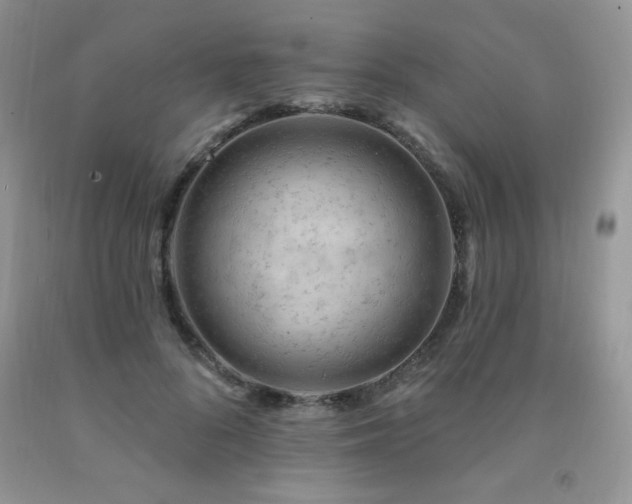 X0000092300696200709141320