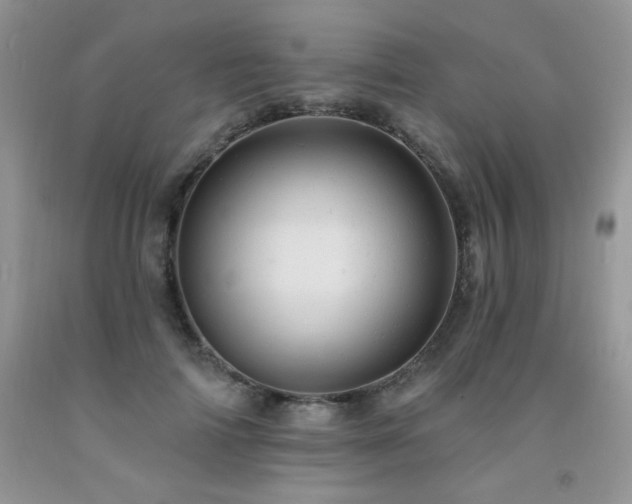 X0000092300698200709141320