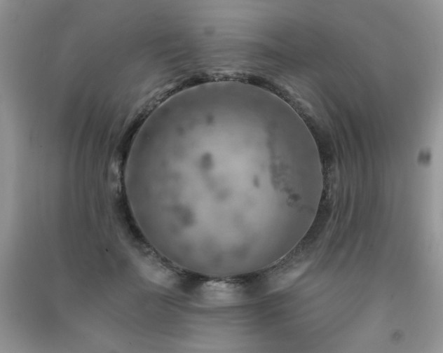 X0000092300699200709141320
