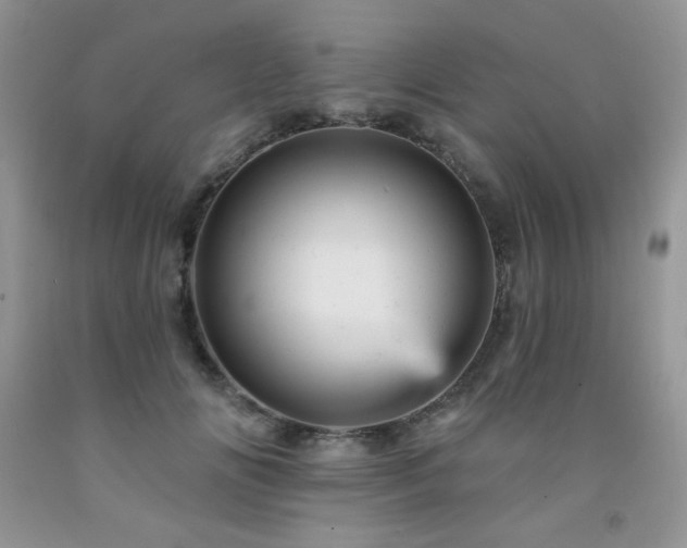X0000092300702200709141320