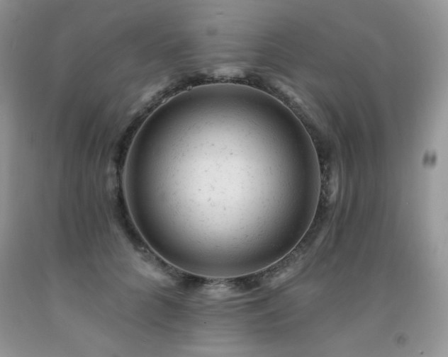 X0000092300704200709141320