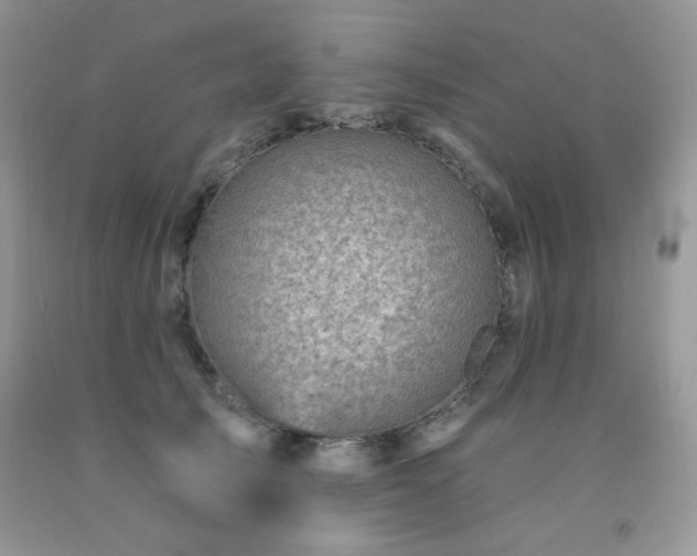 X0000092300705200709141320