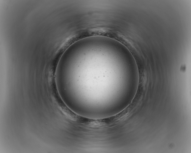 X0000092300708200709141320
