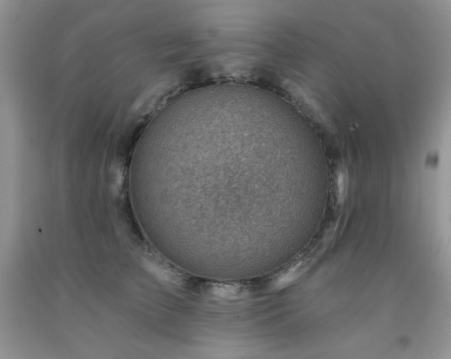 X0000092300709200709141320