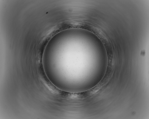 X0000092300710200709141320