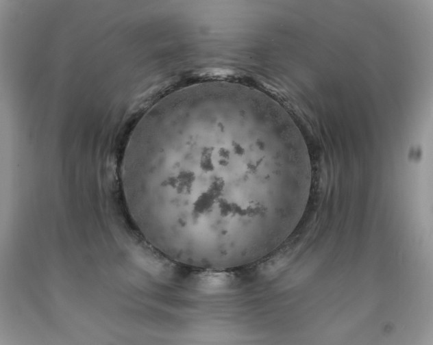 X0000092300711200709141320
