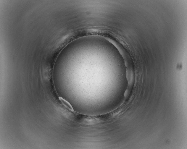 X0000092300712200709141320