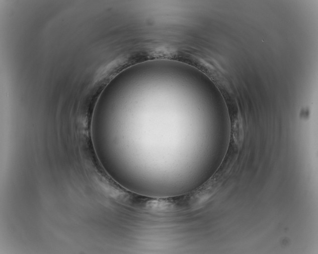 X0000092300714200709141320