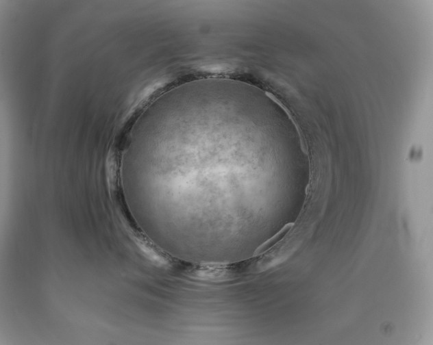 X0000092300720200709141320