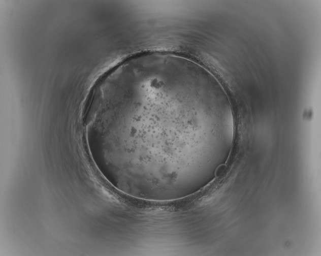 X0000092300721200709141319