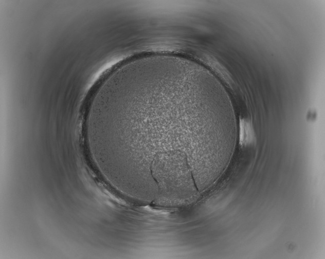 X0000092300723200709141319
