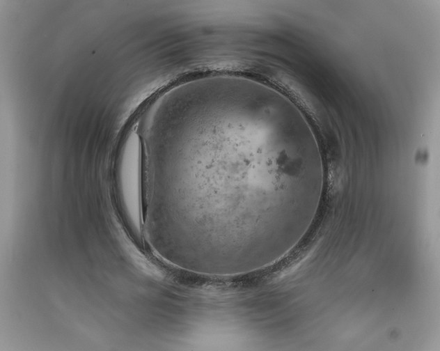 X0000092300725200709141319