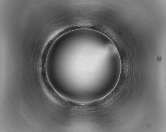 X0000092300726200709141319