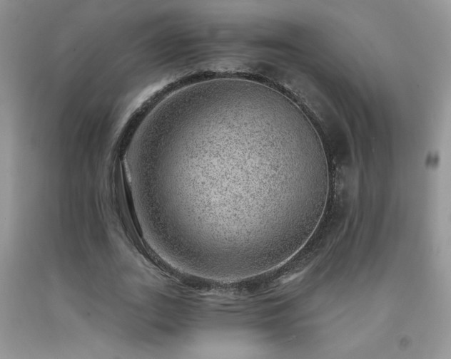 X0000092300727200709141319