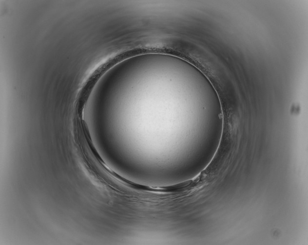 X0000092300728200709141319
