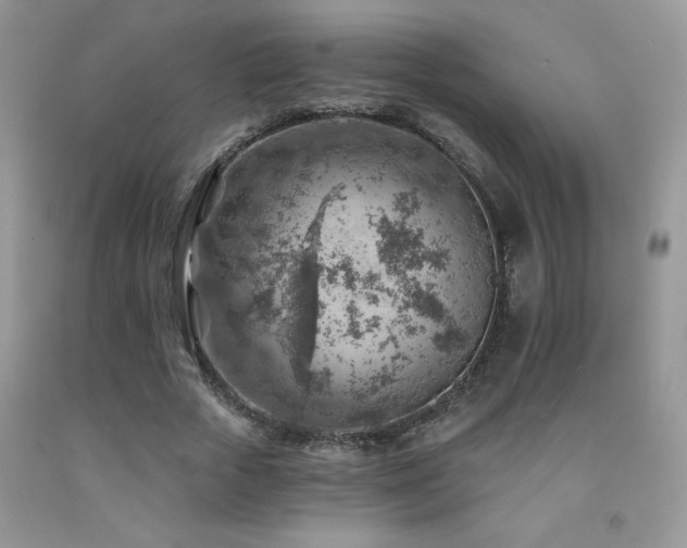 X0000092300729200709141319
