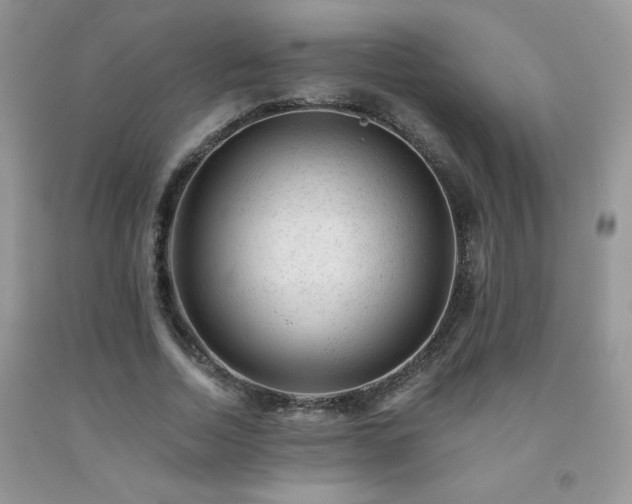 X0000092300730200709141319