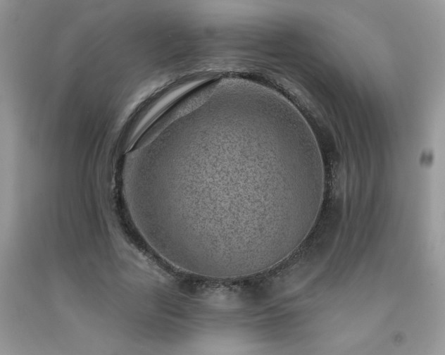 X0000092300731200709141319