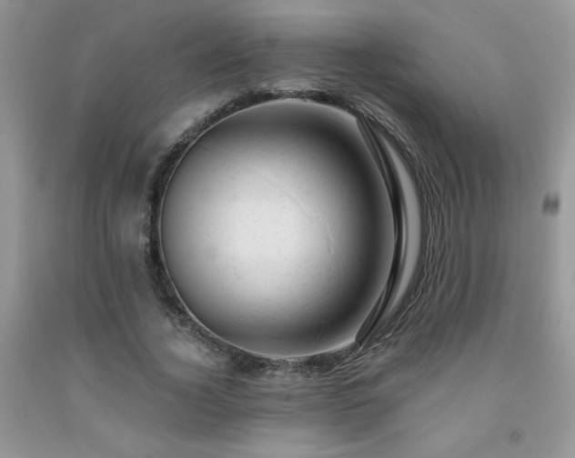 X0000092300732200709141319