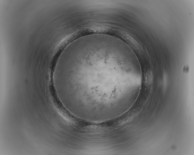 X0000092300733200709141319