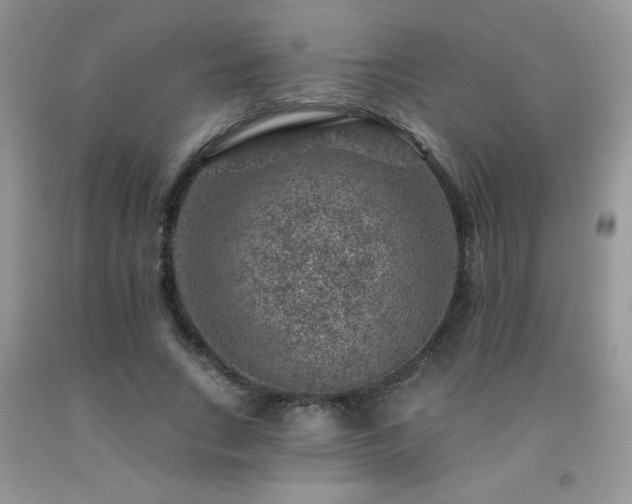 X0000092300735200709141319