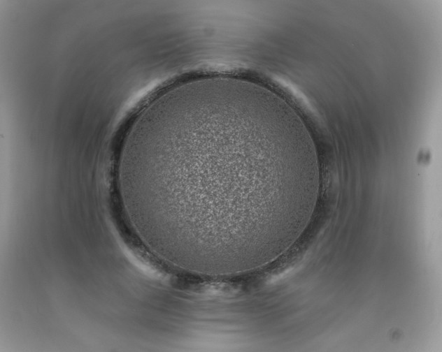 X0000092300736200709141319