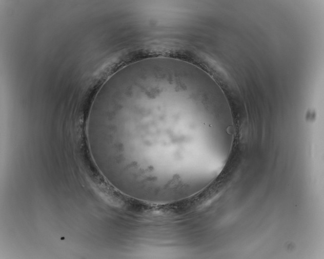 X0000092300737200709141319