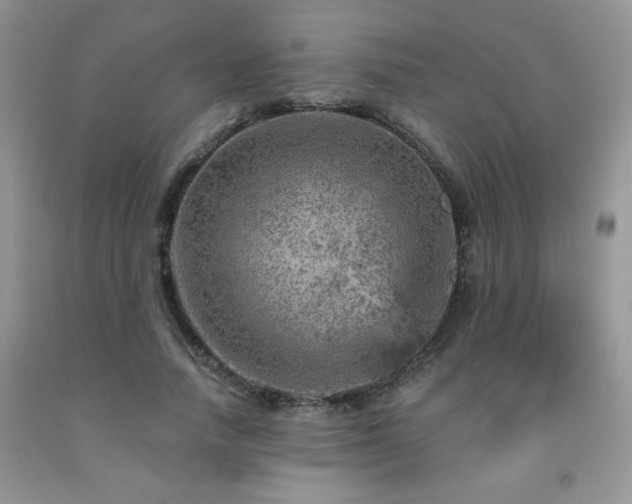 X0000092300738200709141319