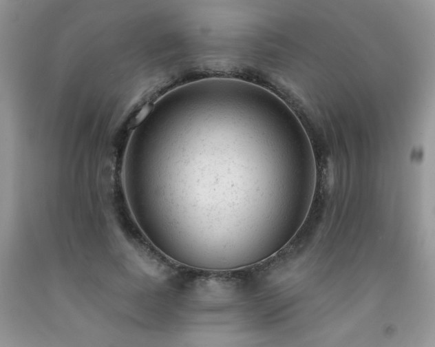 X0000092300739200709141319