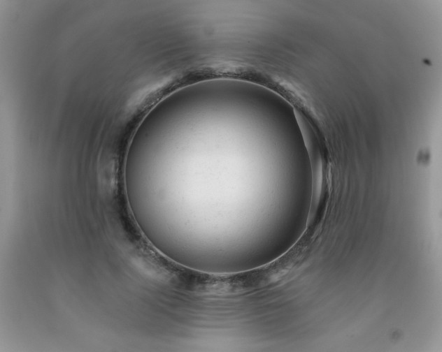 X0000092300740200709141319