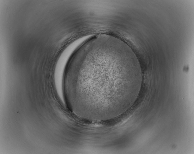 X0000092300741200709141319