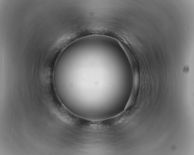 X0000092300744200709141319