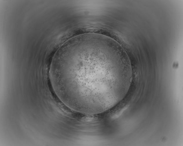 X0000092300745200709141319