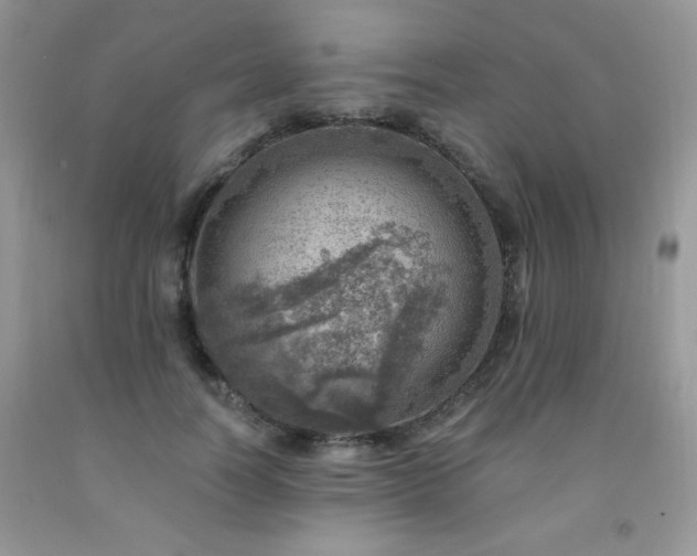X0000092300746200709141319