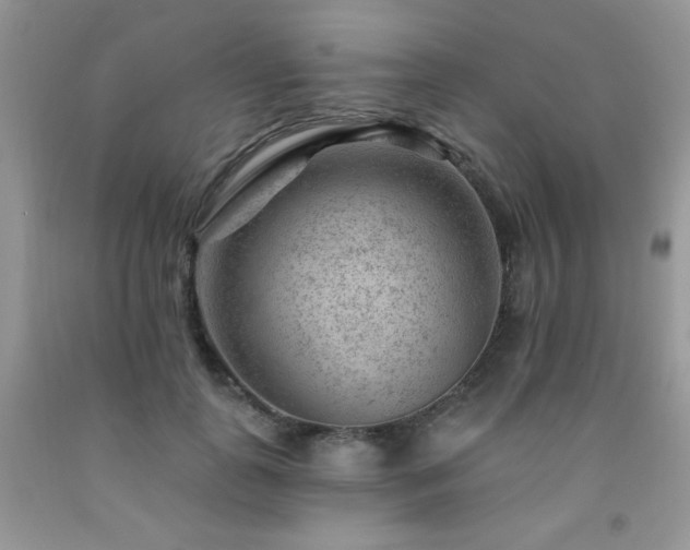 X0000092300747200709141319