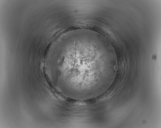 X0000092300749200709141319
