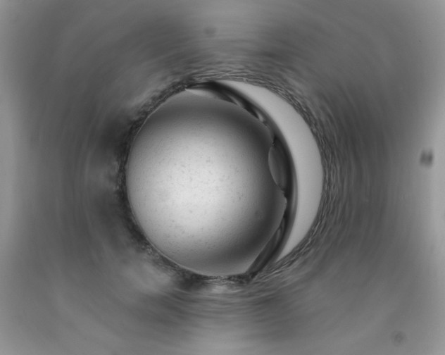 X0000092300750200709141319