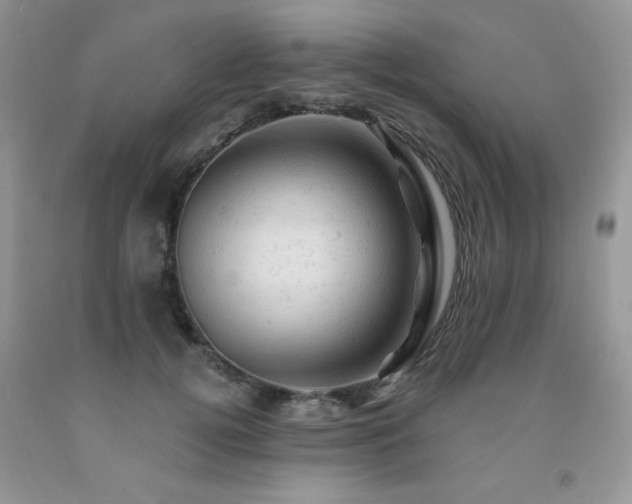 X0000092300752200709141319