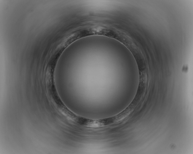 X0000092300754200709141319