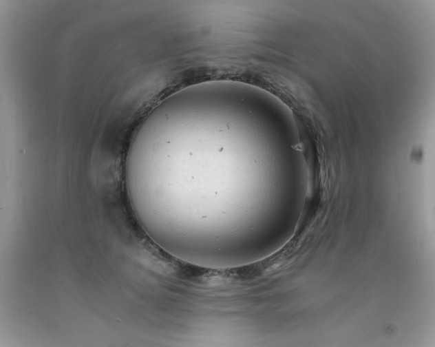 X0000092300756200709141319