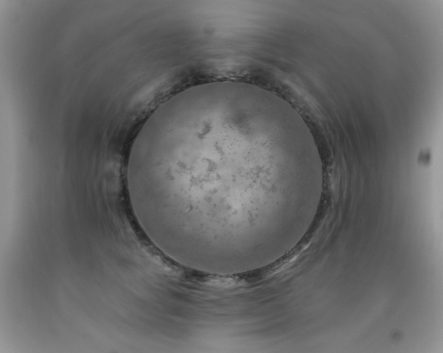 X0000092300757200709141319