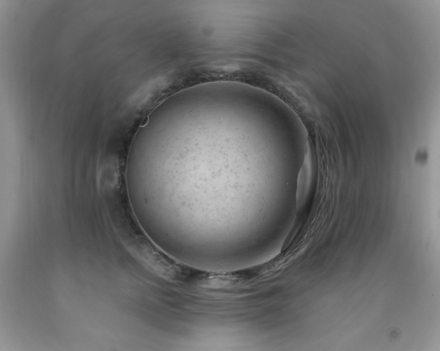 X0000092300758200709141319