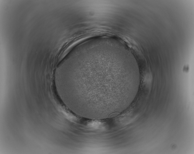 X0000092300759200709141319
