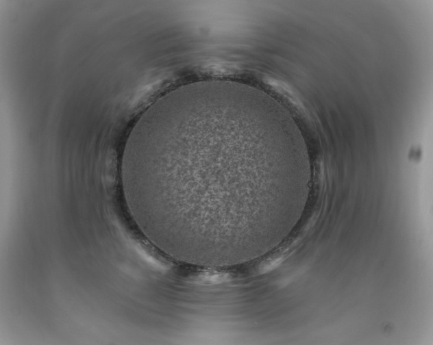 X0000092300760200709141319