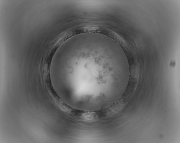 X0000092300761200709141319