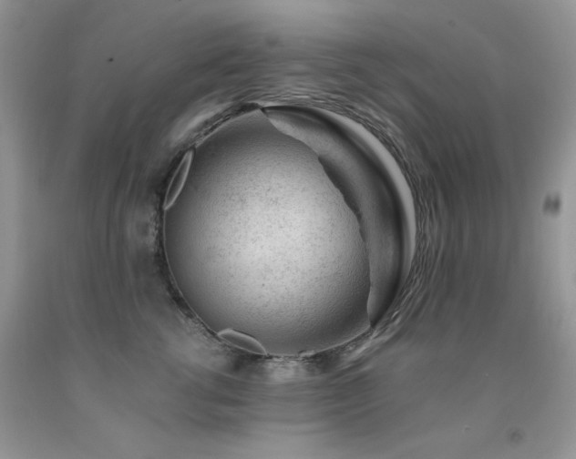 X0000092300762200709141319
