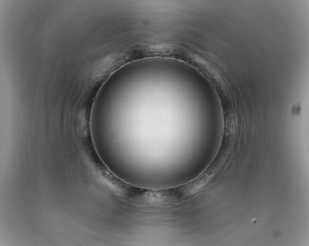 X0000092300764200709141319